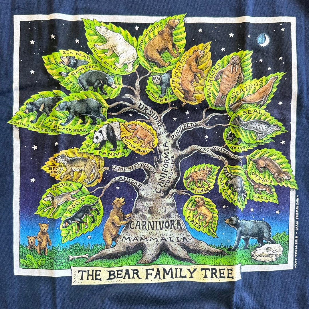 L Bear Family Tree