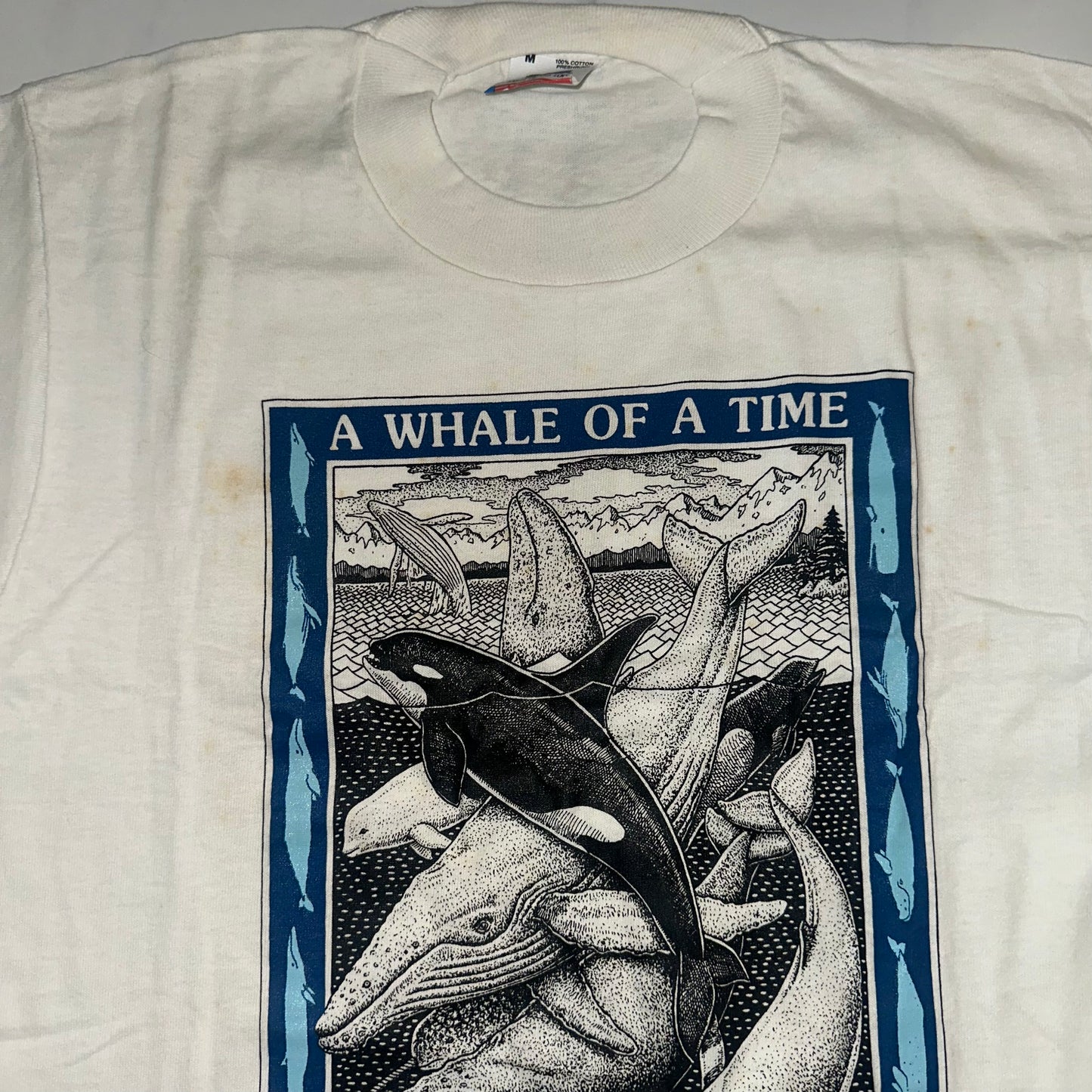AS IS - M A Whale of a Time