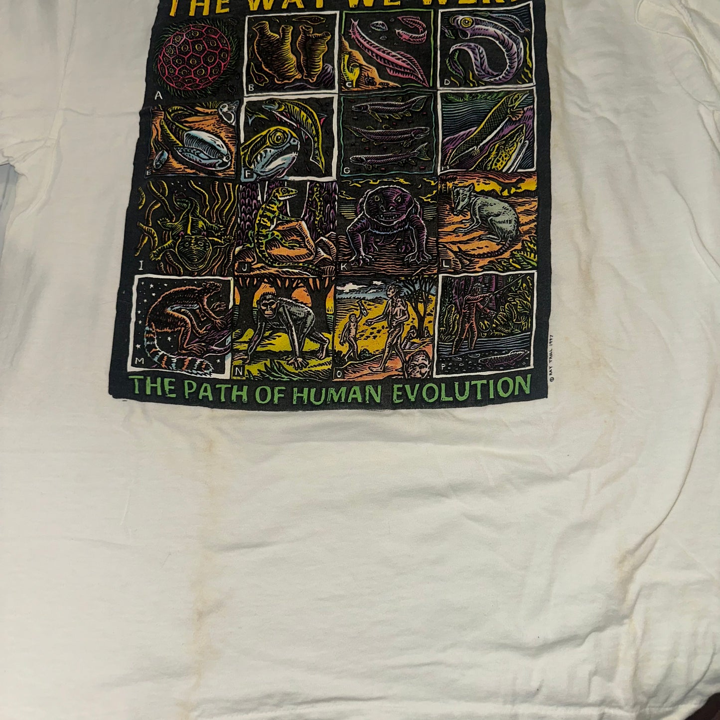 AS IS - L The Way We Were