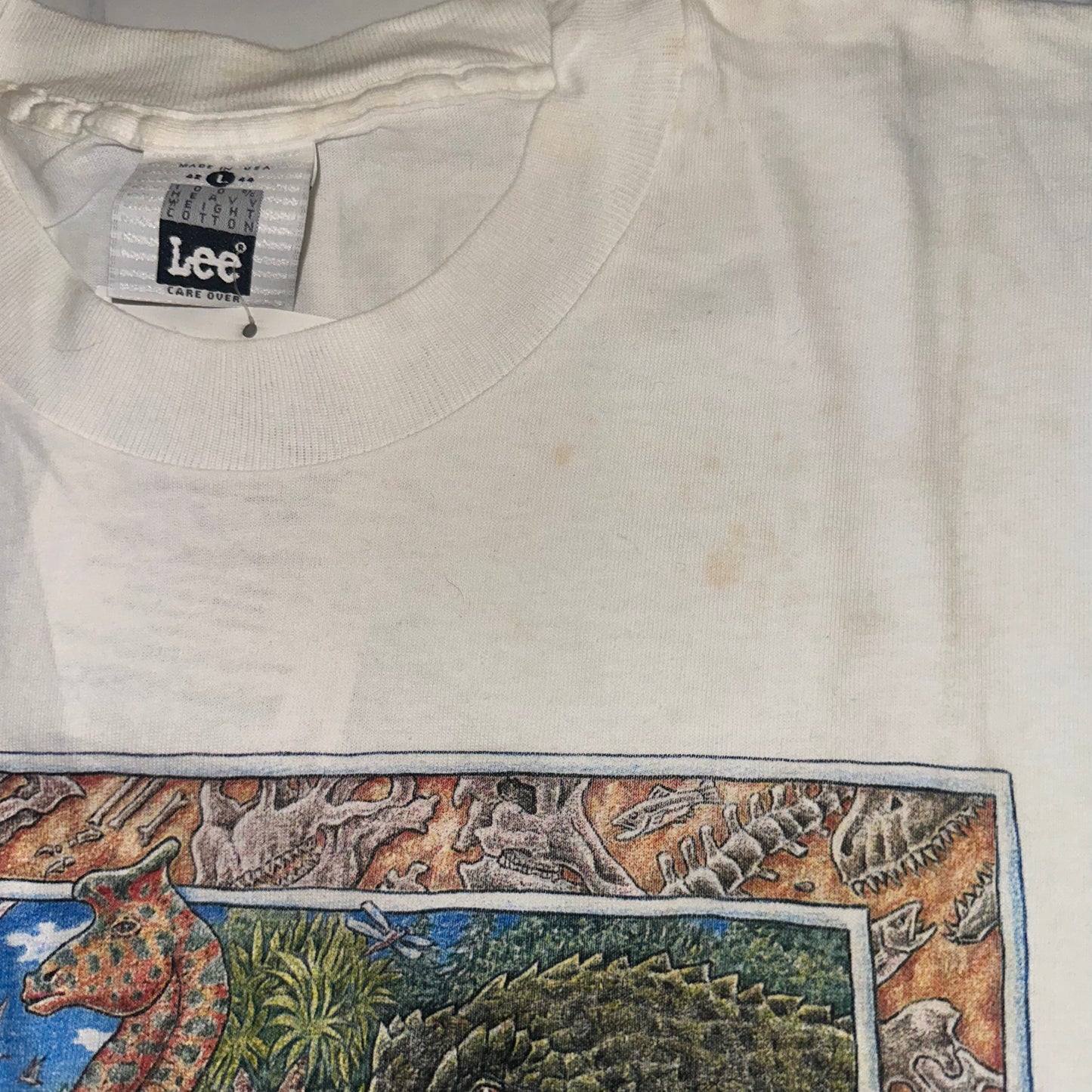 AS IS - L Trout Waiting for Dinosaurs to Go Away