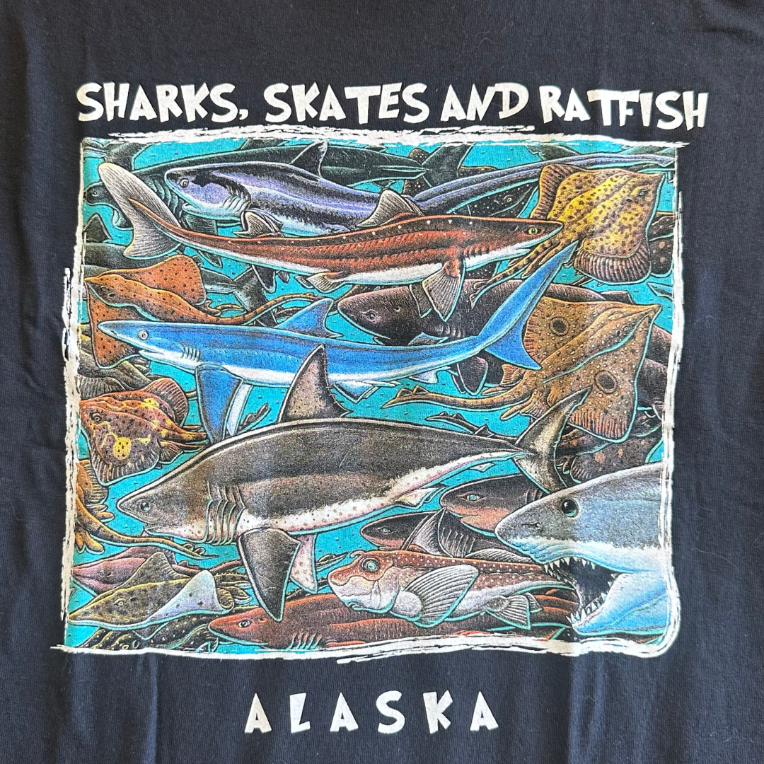 XL Sharks, Scates and Ratfish